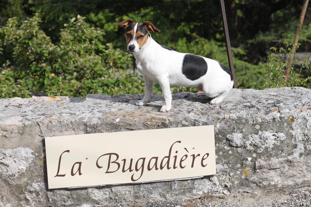 La Bugadiere Salles-sous-Bois المظهر الخارجي الصورة